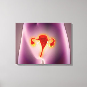Anatomie des weiblichen Körpers mit Uterus Leinwanddruck