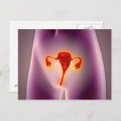 Anatomie des weiblichen Körpers mit Uterus Postkarte (Vorne/Hinten)