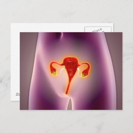Anatomie des weiblichen Körpers mit Uterus Postkarte (Vorne/Hinten)