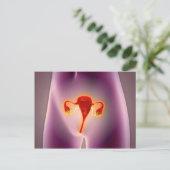 Anatomie des weiblichen Körpers mit Uterus Postkarte (Stehend Vorderseite)