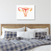 Anatomie des weiblichen Uterus 1 Leinwanddruck (Insitu (Schlafzimmer))