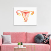 Anatomie des weiblichen Uterus 1 Leinwanddruck (Insitu (Wohnzimmer))