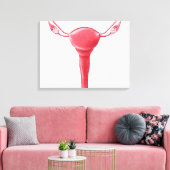 Anatomie des weiblichen Uterus 2 Leinwanddruck (Insitu (Wohnzimmer))