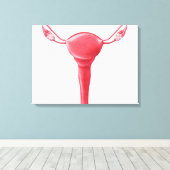 Anatomie des weiblichen Uterus 2 Leinwanddruck (Insitu (Holzboden))