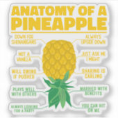 Anatomie einer Ananas Ananas Liebhaber Cooler Anan Aufkleber (Vorderseite)