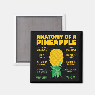 Anatomie einer Ananas Ananas Liebhaber Cooler Anan Magnet