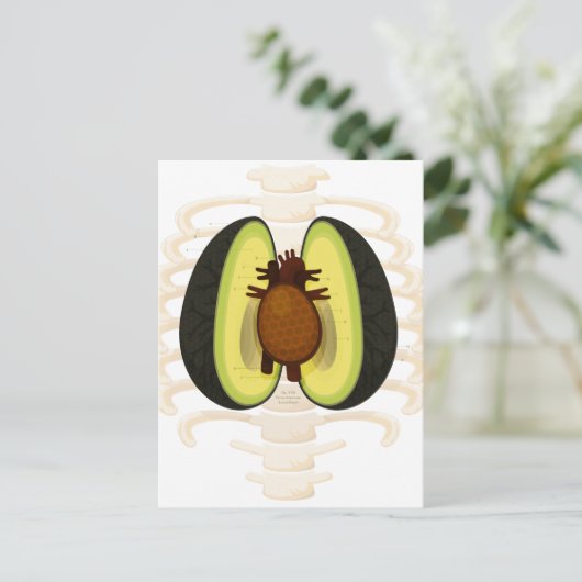 Anatomie einer Avocado Postkarte (Stehend Vorderseite)