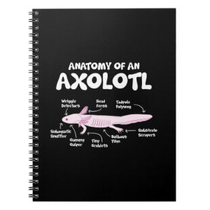 Anatomie einer axolotalen axolotls Biologie Notizblock