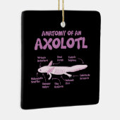Anatomie einer axolotl axolotls Biologie Wissensch Keramikornament (Rechts)