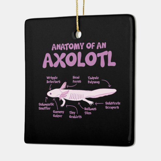 Anatomie einer axolotl axolotls Biologie Wissensch Keramikornament (Links)