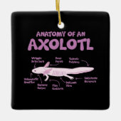 Anatomie einer axolotl axolotls Biologie Wissensch Keramikornament (Vorderseite)