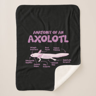 Anatomie einer axolotl axolotls Biologie Wissensch Sherpadecke