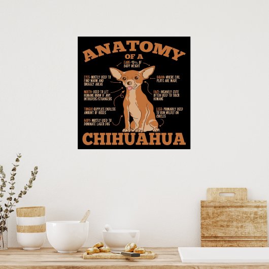 Anatomie einer Chihuahua-Leinwand Poster (Küche)