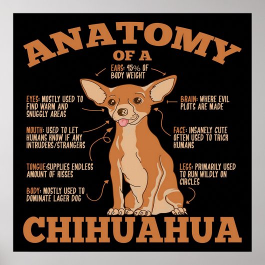 Anatomie einer Chihuahua-Leinwand Poster (Vorne)