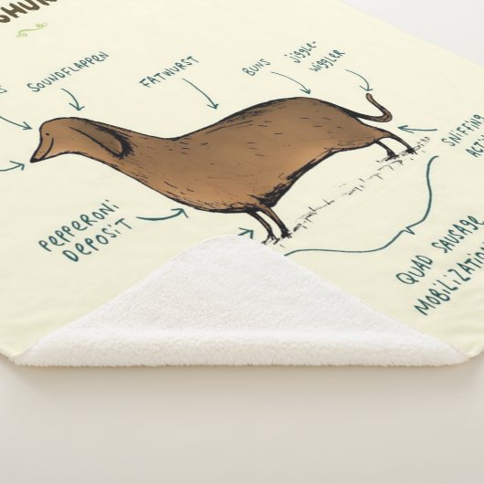 Anatomie einer Dackel| Dackel Hundeliebhaber Sherpadecke (3/4)