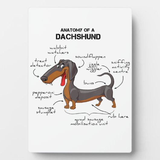 Anatomie einer Dackel - Witzhund Fotoplatte (Vorderseite)