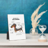 Anatomie einer Dackel - Witzhund Fotoplatte (Seite)