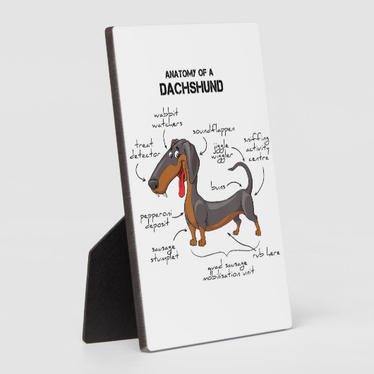 Anatomie einer Dackel - Witzhund Fotoplatte (Seite)