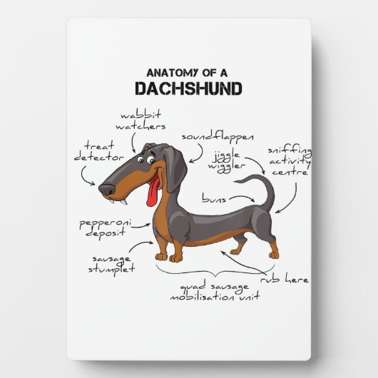 Anatomie einer Dackel - Witzhund Fotoplatte (Vorderseite)