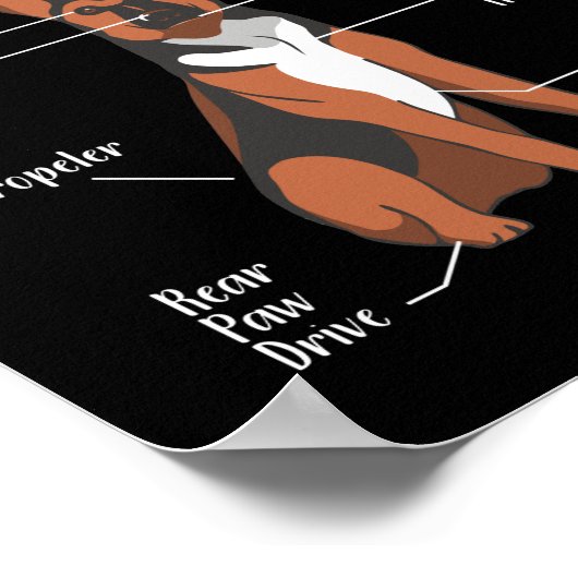 Anatomie einer deutschen Schäferhündin-Mama Poster (Ecke)