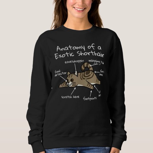 Anatomie einer exotischen Kurzhaarkatze Sweatshirt (Vorderseite)