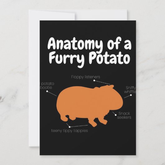 Anatomie einer Furry Potato | NIEDLICHE GUINEA Ankündigung (Vorderseite)