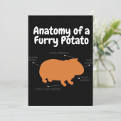 Anatomie einer Furry Potato | NIEDLICHE GUINEA Ankündigung (Stehend Vorderseite)
