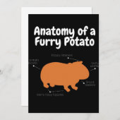 Anatomie einer Furry Potato | NIEDLICHE GUINEA Ankündigung (Vorne/Hinten)