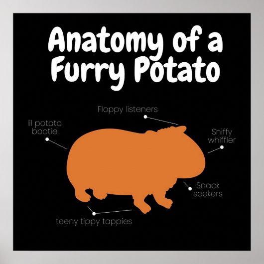 Anatomie einer Furry Potato | NIEDLICHE GUINEA Poster (Vorne)