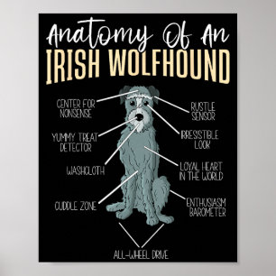 Anatomie einer Irischen Wolfshund Poster