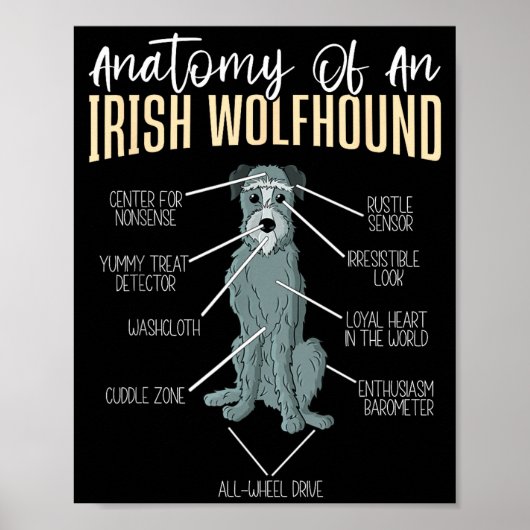 Anatomie einer Irischen Wolfshund Poster (Vorne)