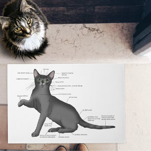 Anatomie einer Katze Fußmatte
