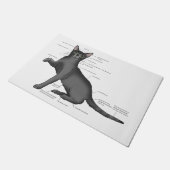 Anatomie einer Katze Fußmatte (Schrägansicht)
