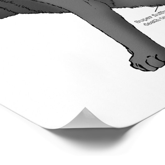 Anatomie einer Katze Poster (Ecke)