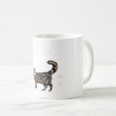 Anatomie einer Maine-Coon-Katze Kaffeetasse (VorderseiteRechts)