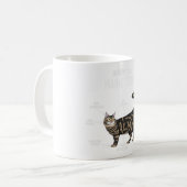 Anatomie einer Maine-Coon-Katze Kaffeetasse (Vorderseite Links)