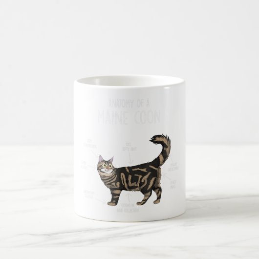 Anatomie einer Maine-Coon-Katze Kaffeetasse (Mittel)