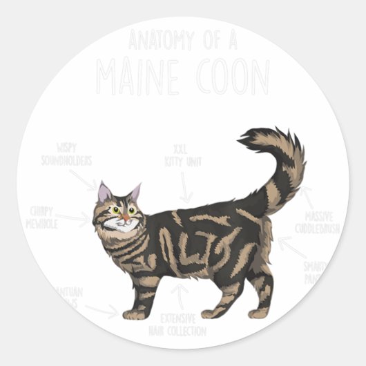 Anatomie einer Maine-Coon-Katze Runder Aufkleber (Vorderseite)
