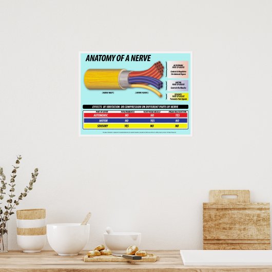 Anatomie einer Nerve 2016 Edition Poster (Küche)