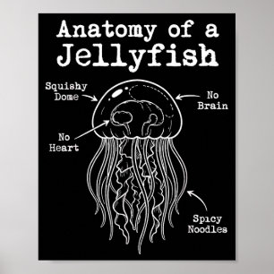Anatomie einer Quallen scharfe Nudeln lustige Meer Poster