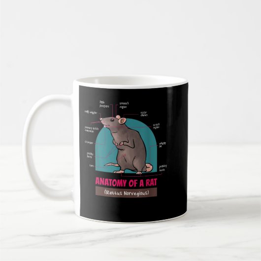 Anatomie einer Rattus-Rattus-Rattenras Kaffeetasse (Links)