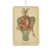 Anatomie einer Taube Autolufterfrischer (Vorderseite)