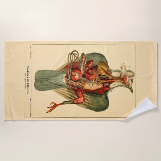 Anatomie einer Taube Strandtuch (Vorderseite)