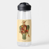 Anatomie einer Taube Trinkflasche (Vorne)