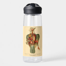 Anatomie einer Taube Trinkflasche