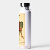 Anatomie einer Taube Trinkflasche (Links)