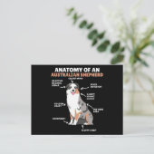 Anatomie eines australischen Hirten süße Hunde Postkarte (Stehend Vorderseite)