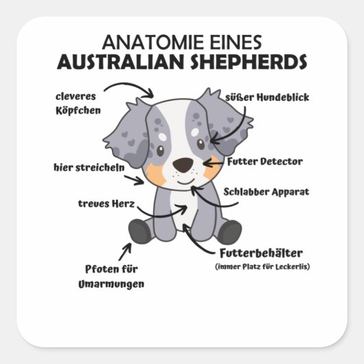 Anatomie eines australischen Hirten süße Hunde Quadratischer Aufkleber (Vorderseite)