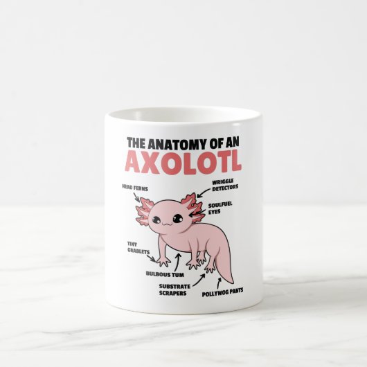 Anatomie eines Axolotl Kaffeetasse (Mittel)
