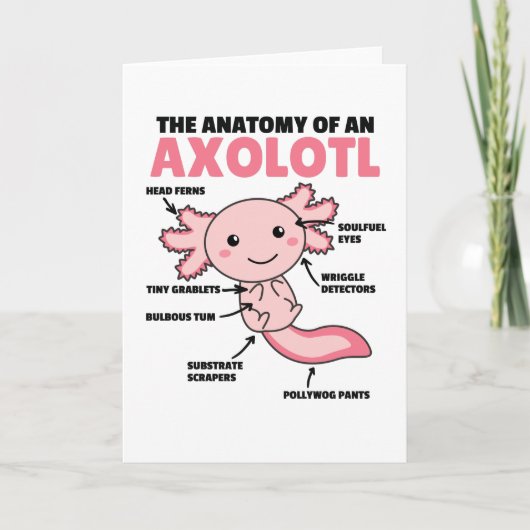Anatomie eines Axolotl Karte (Vorderseite)